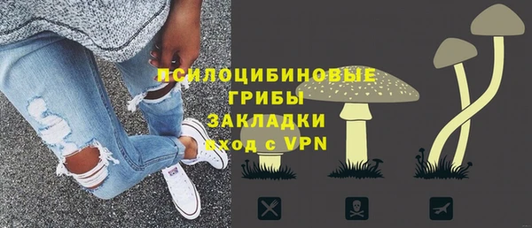 прущая мука Нея