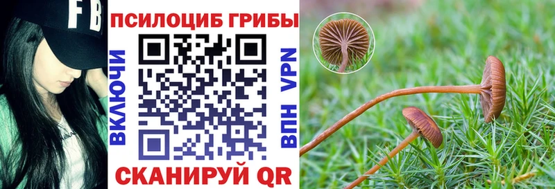 Галлюциногенные грибы Psilocybine cubensis  Североуральск 