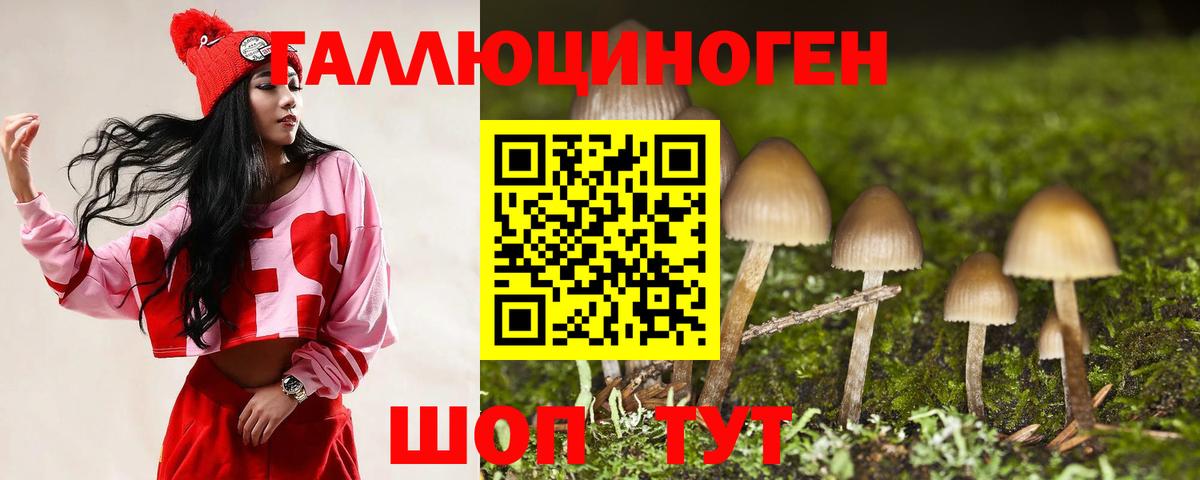Галлюциногенные грибы Cubensis  Галлюциногенные грибы Psilocybe  Североуральск 