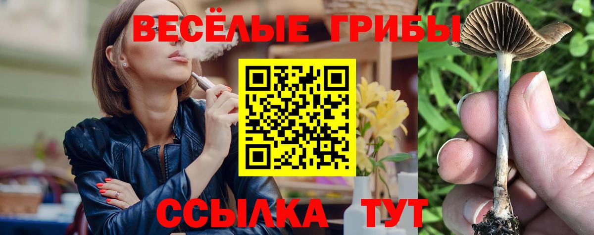 Североуральск  Галлюциногенные грибы мухоморы  Вход с VPN 